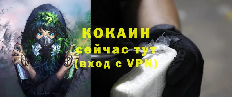 купить закладку  Кушва  Cocaine Fish Scale 